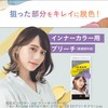 LUCIDO-L Inner Color Treatment #Foggy Greige [Hair Color Treatment Beige]