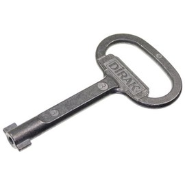 ecomserv Control Cabinet Key with Double Bit and Hollow Mandrel (Drilled) for Various Applications
