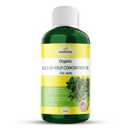 GARDENWISE Organic Premium Kelp Seaweed Concentrate for Jade - Liquid Fertilizer - Liquid Plant Food - Nutrient-Rich Soil Enhancer - Natural Plant Food for Jade Plant (8 OZ), OLKC-16