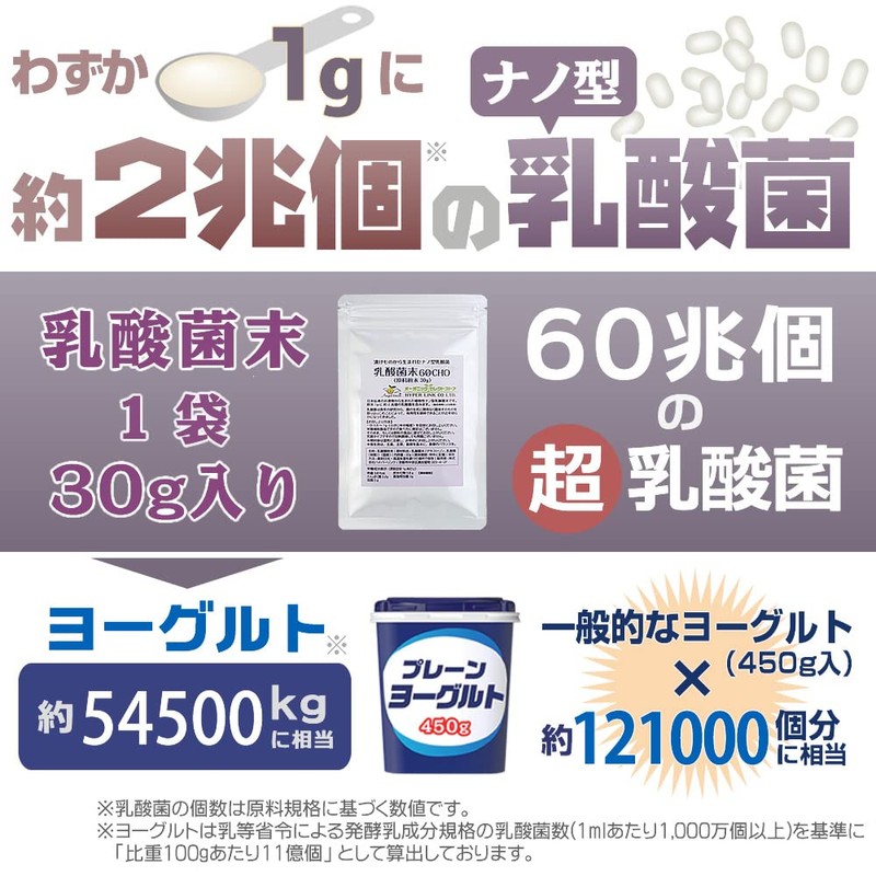 Angelbean 乳酸菌 原末100% 国産 植物性ナノ型 原料 粉末 パウダー 30g