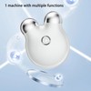 Micro Current Face Massager Dual Roller Lifting Skin Care Sculpt