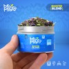 BeMicro Whole Food Microgreens - US grown, Small Batch, Nutritional