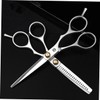 Healvian Stainless Steel Hairdressing Scissors Set 2pcs Flat Teeth Shears