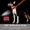 Martingale No Pull Dog Collar for Large Medium Small Dogs,