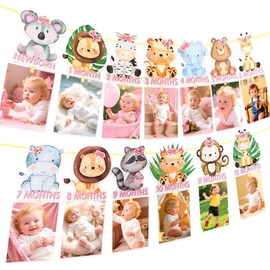 Jungle Animal 1st Birthday Decor 12 Months Photo Banner Wild a Decorations Safari Animals Theme Milestone Party Supplies
