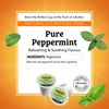 Twinings Pure Peppermint Herbal Tea K-Cup Pods for Keurig, 24
