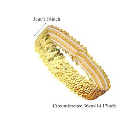 2Pcs Sequin Headband Elastic Sparkly Headband Glitter Headband Sports Shiny Style Headdress for Dance Party Accessories(Gold)