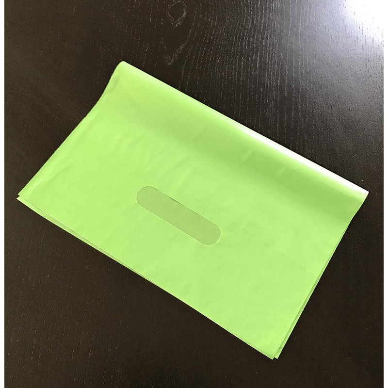 green plastic bag 9x12