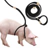 Mini Pig Harness & Leash, Adjustable 8 Feet Long Rope