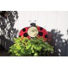 Poolmaster 54578 Ladybug Wall Décor and Thermometer for Home or