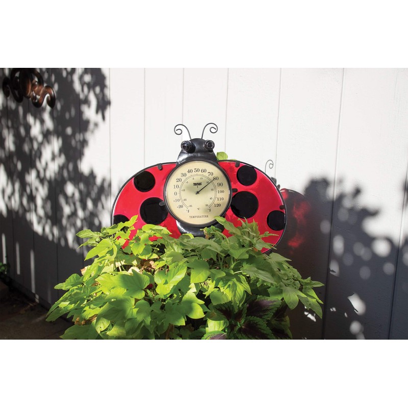 Poolmaster 54578 Ladybug Wall Décor and Thermometer for Home or