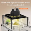 Upgraded Turtle Basking Platform for Aquatic Turtles with Temp &