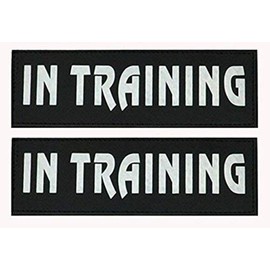 Removable Dog Patches for Vests & Harness - Reflective / 2" x 6" Large White Letter/2 Pack. (in Training, Large(2 x 6"))