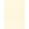 Nagatoya Shoten Copy Paper NA-631 P@LETTE A4 Sand Color Carrot