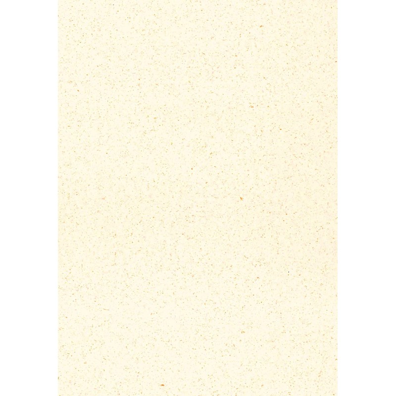 Nagatoya Shoten Copy Paper NA-631 P@LETTE A4 Sand Color Carrot