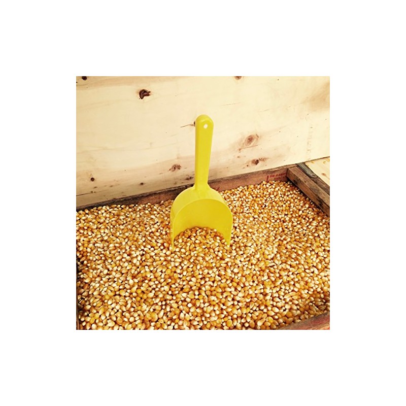 Paragon Bulk Bag Yellow PopCorn (12.5-Pounds), Brown, (1022)