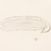 Clear Skincare Hydrating Gel Cleanser With 1% Lactic Acid 150ml