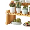 Table Top Bamboo Plant Stand Desktop Flower Shelf Rack for
