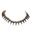 Real Coyote Claw Necklace: 20-claw
