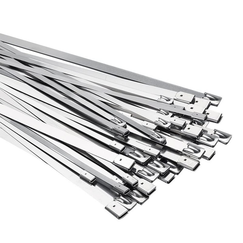 LOYELEY Stainless Steel Cable Ties 0.3 x 11.8 inches (7.9