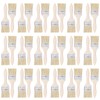 100 Pcs 2 Inch Paint Brushes Bulk - Chip Brushes