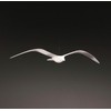 Seagull Mobile Outdoor Version by John Perry 16 inch Wingspan