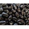 Jumbo Extra Large Fresh Chewy Black Licorice Jelly Beans -