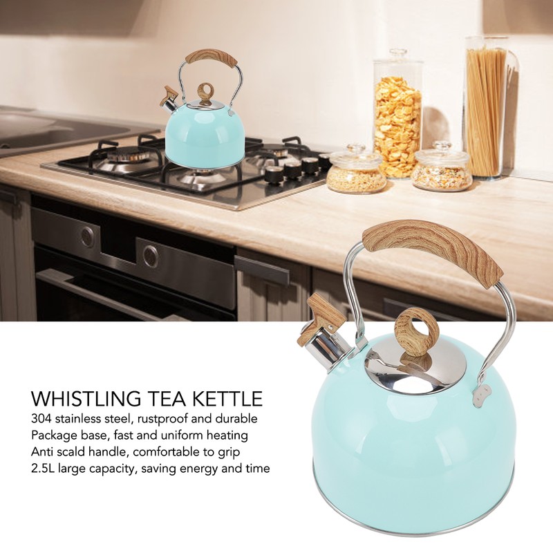 2.5L Whistling Tea Kettle with Handle Stainless Steel Portable Stovetop