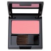 Revlon Matte Powder Blush 105