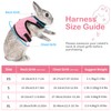 PETTOM Bunny Rabbit Guinea Pig Harness Stretchy Elastic Leash Cute