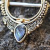 Cocobul Body Jewelry Pair of Gold Plated Ornate Nipple Shield