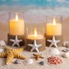 Baquler 3 Pcs Beach Starfish Plastic Flameless LED Battery Candle