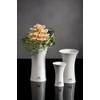 Sandra Rich Porzellanvase Tulip weiß konkav 22 cm hoch Ø