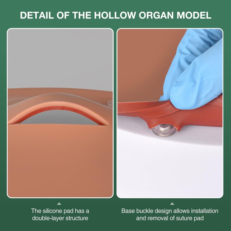 MedEduQuest Hollow Organ Suturing Kit, Suture Practice Kit for Medical