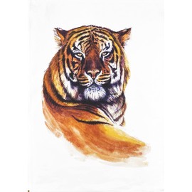 Half a Donkey Portrait of a Tiger Large Cotton Tea Towel