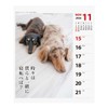 2026 Calendar Ducks Senryu (Weekly Turning)