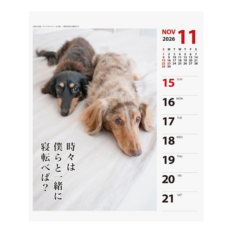 2026 Calendar Ducks Senryu (Weekly Turning)