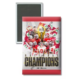 2024 Ohio State Buckeyes National Champions 2" x 3" Magnet