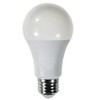 Diodesy- A19 LED Light Bulb 16W 1600 Lumen E26 Medium