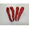 Choricero Pepper 10+ Seeds