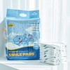 PETHROOM [Pesroom] Smile Pad Dog Training Pads High Absorbency (Small