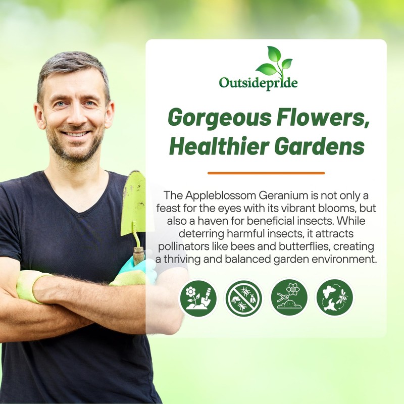 Outsidepride Appleblossom Geranium Seeds for Planting - 50 Pcs Annual,