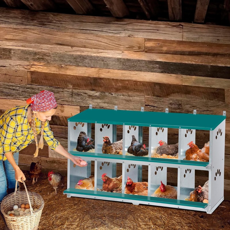 Toriexon Chicken Nesting Box, 10 Compartment Nesting Box, 10 Room
