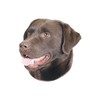 Nobby Sticker Labrador Brown