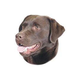 Nobby Sticker Labrador Brown