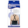CHAMPION Industrial Belt Back Brace Abdominal Support Shoulder Straps, Black