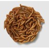 Backyard Seeds Dried Mealworms for Birds, Chickens (6 Ounces)