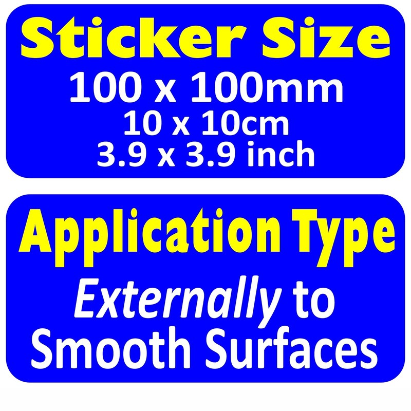 1 x Rear View Camera Recording Sticker Window CCTV Security
