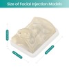 MedEduQuest Transparent Facial Injection Model, Facial Training Nose Model for