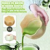 IEYGFAA Juego de Matcha de 4 Piezas, Matcha Kit con